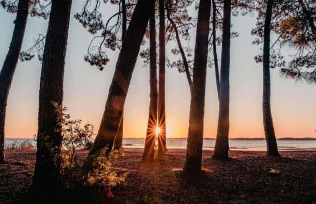 Apartment in Biscarrosse by the Beach - Foto 28