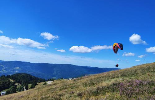 Notre Renardière, Gîtes à Saulxures-sur-Moselotte, Hautes-Vosges - Foto 65