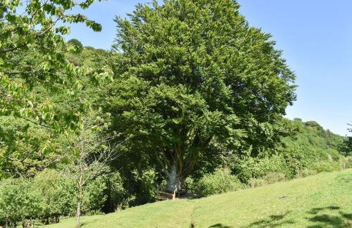 Woodland Retreat - Foto 29