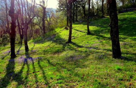 Apartments Villa Venera - Photo 22