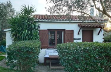 Sol's Place - Photo 1