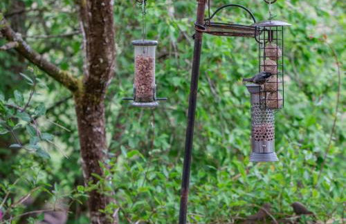 1 Bed in Callander oc-pe173 - Foto 13