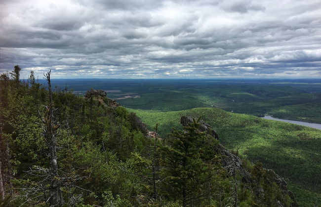 Heron's Nest Cottages - Foto 59