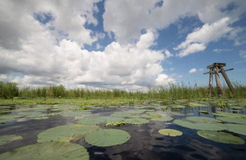 Casa Blanca - Chic Spanish-Style Cottage with Private Courtyard - Foto 16