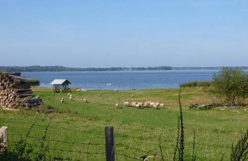 Landpension Zum Schweizerberg - Foto 23