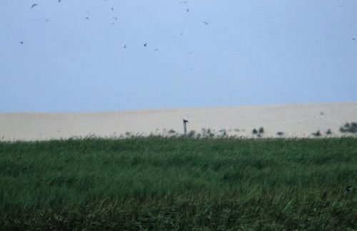 Casa Lagoa Verde - Foto 57