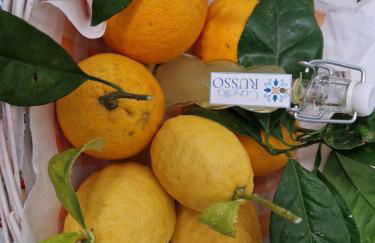 Casetta Russo - Foto 15