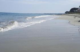 Location appartement les pieds dans l'eau, Résidence Aqua Linda à Poggio-Mezzana - Foto 61