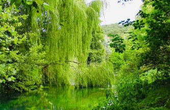 Musella Winery & Relais - Foto 100