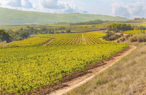 Masia Can Canyes & Spa - Photo 70