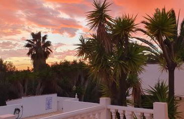 Portugal Ferienhaus Casa-Lucia Privat Großer Pool - Foto 8