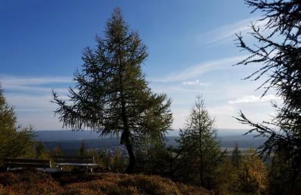 Zur alten Bäckerei - Finsterbergen - Foto 33
