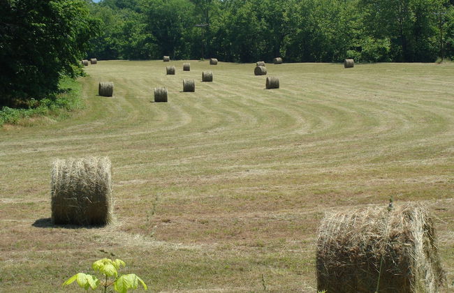 DeHart Cabin - Foto 28
