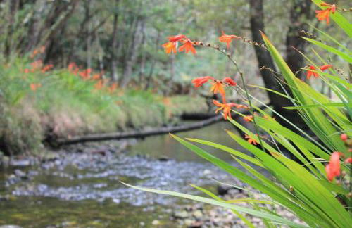 Chalet Meu Lar - Foto 31