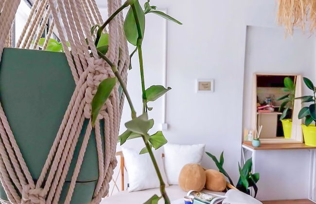 Four Holiday Suites - Foto 12