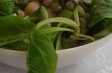 Siedlisko Urszulanka Dom - Foto 11