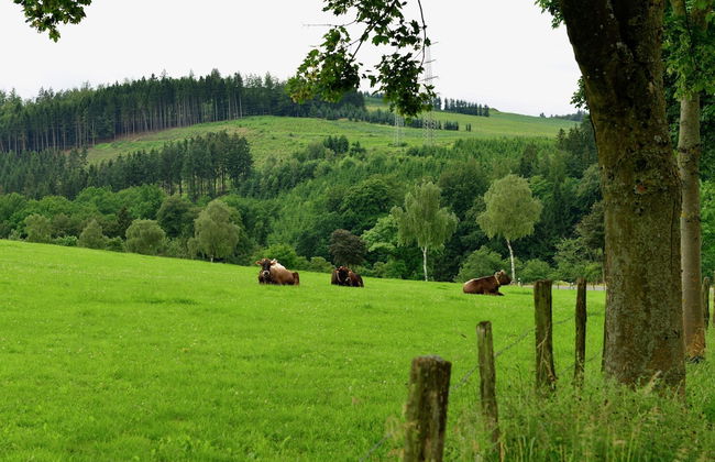 A Comfortable, Large House With Wifi in Hochsauerland, Suitable for 14 Persons - Foto 40