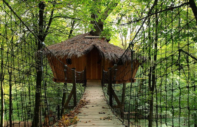 L'Arbre à Cabane - Foto 40