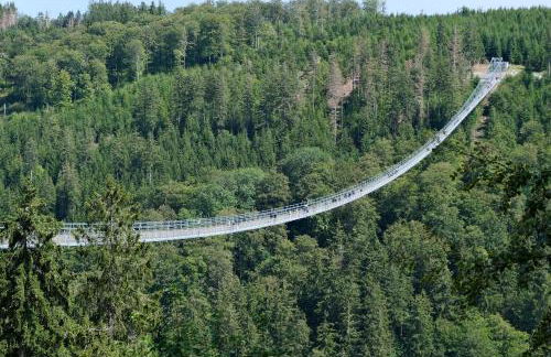 17 AM BERG - Foto 56