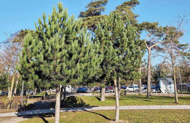 3 Person Holiday Home in Hollviken-by Traum - Foto 18