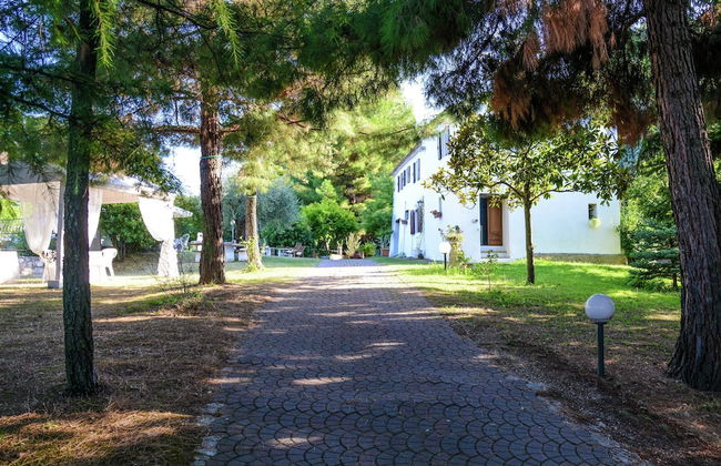 Cottage in Montefiore Near Forest and Beach - Photo 34