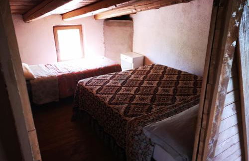 Pinnettu sardo casa di campagna in ecosistema insetti e animaletti simpatici in condivisione,Leggere attentamente Prima di prenotare - Foto 40