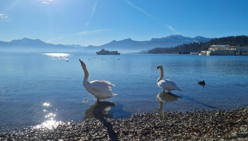 ChiemseeOase - Photo 4