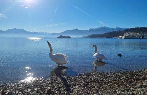 ChiemseeOase - Photo 4