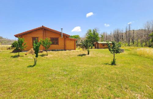 Timber Dream - Photo 22