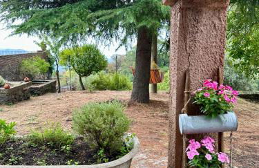 Tenuta Reganati - Foto 41