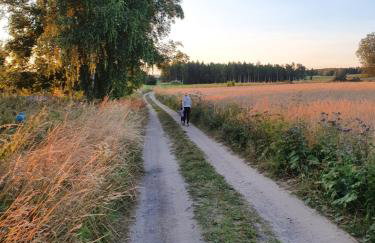 Fuledzki Biały Domek - Mazury, Jacuzzi, Sauna, Giżycko - Foto 49