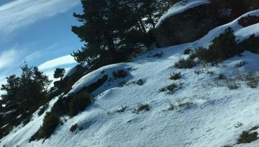 Casa da Tia Lurdes - Foto 4