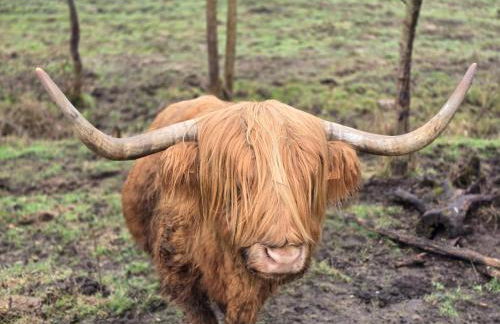 Appartement Chez Mar'Tine - Foto 37