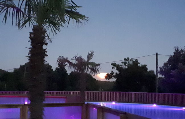 Domaine de La Roudeliere - Foto 13