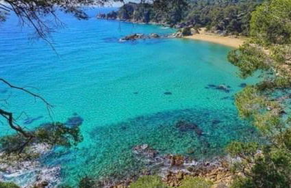 Seahomes Vacations - Beachside Apt with Pool - Foto 18