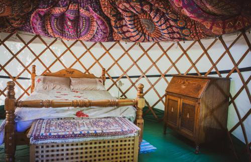 Brandon House Farm Yurt - Foto 5