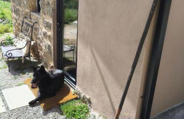 Tapada das Carvalhas - Foto 6