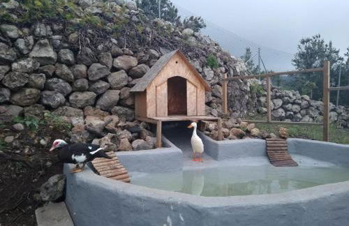 Los Huertos Conect with the nature & relax - Foto 65