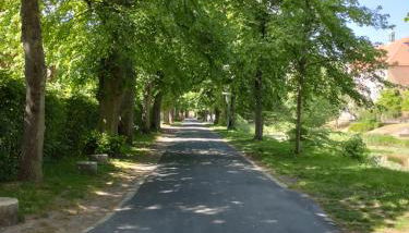 Apartment zum Garten - Foto 4