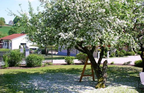 Ferienwohnungen Bloier - Foto 29