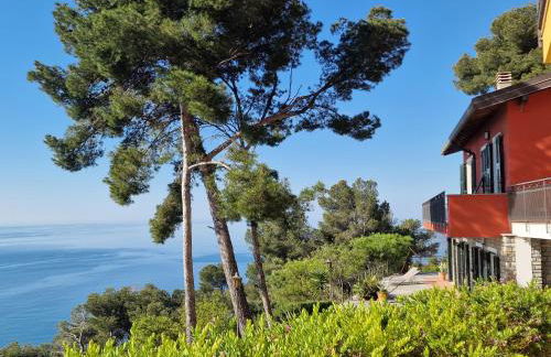 Appartamento in Villa Mimosa - Foto 2