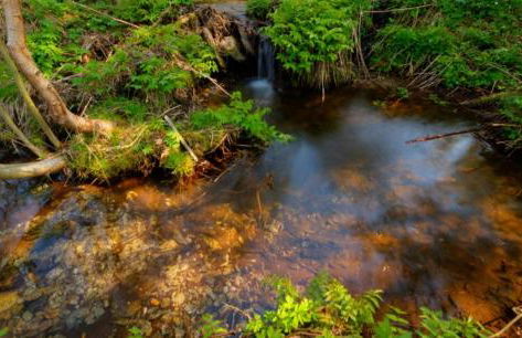 Ferienwohnung Rotbuche - Foto 40
