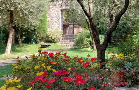 Azienda Agrituristica Corteforte - Foto 59