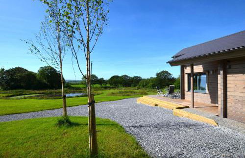 Ty Log Llansteffan - Photo 11