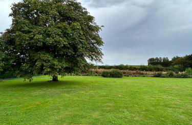 La Nora Jolie - Foto 24