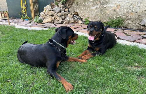 Il Giardino di Sant'Eufemia - Foto 9