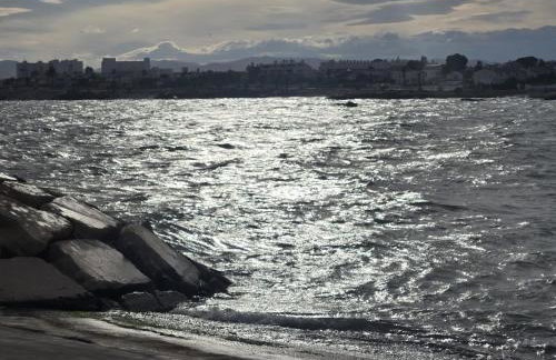 Vinaros Mar de Plata - Foto 22