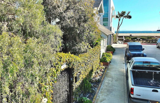 Beachside Sanctuary Lovely 3 BDR Steps to Ocean! - Foto 44