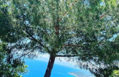 Murat Apartment - Foto 37