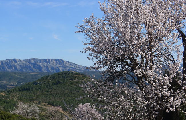 Yourte Nature Saint Roch - Foto 11